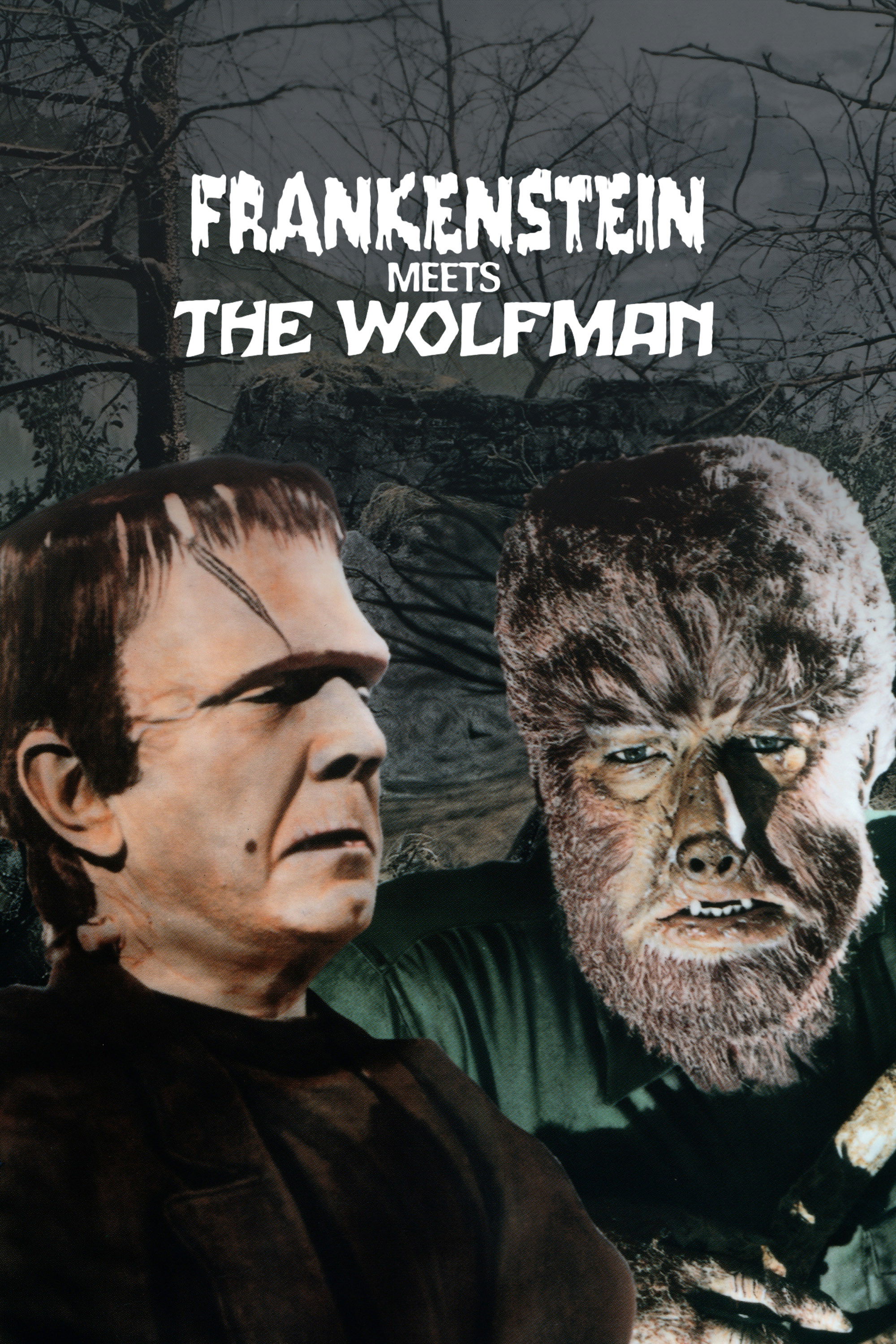 Frankenstein Meets the Wolf Man (1943) [518787] (A1767618282) [[Movies]] --Plex--